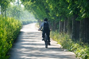 Bike Rental France