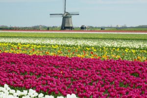 The Netherlands bike rentals